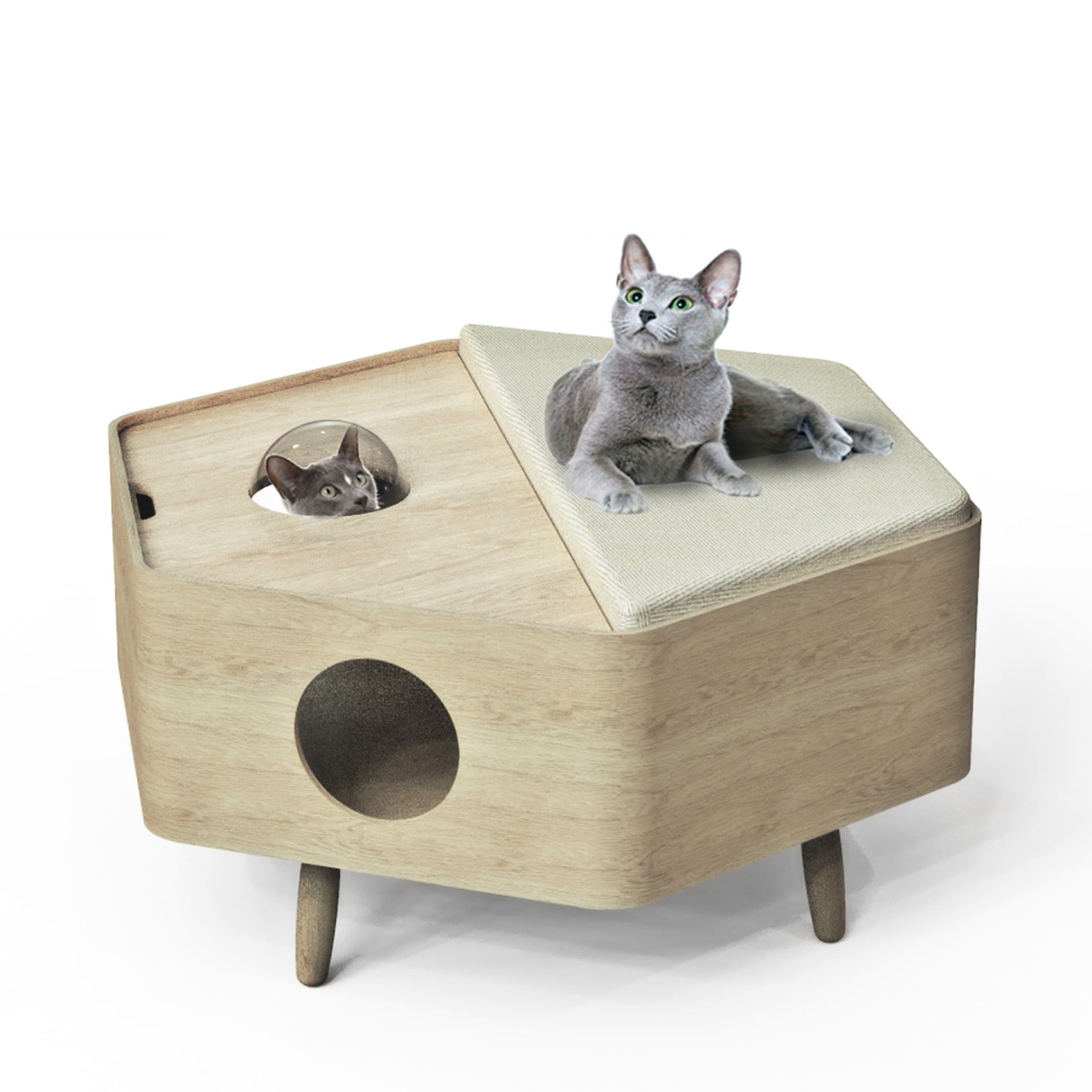 Space 4 Cats ottoman